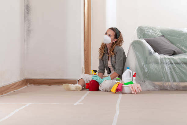 Reliable Mold Testing contractor in Springfield, CO by WQB Mold Removal